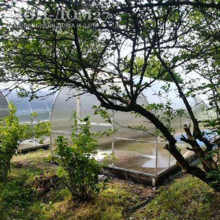 Теплица Восточная Усиленная 8 метров с поликарбонатом | Мой-Дом27 | Каркас изготовлен из оцинкованной замкнутой трубы 20*20 мм.<br>
 Ширина - 3&nbsp;метра. Высота - 2,1 метра. Длина 8 метров.&nbsp;<br>
 Выдерживаемая снеговая нагрузка - 150 кг/м2. Выдерживаемая ветровая нагрузка - до 20 м/с.<br>
 Расстояние между дугами 0,65&nbsp;метра.&nbsp;Толщина металла дуг 1,2 мм.&nbsp;Ширина двери 0,96 метра.<br>